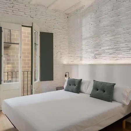 Flateli Argenteria 23 Apartment Girona